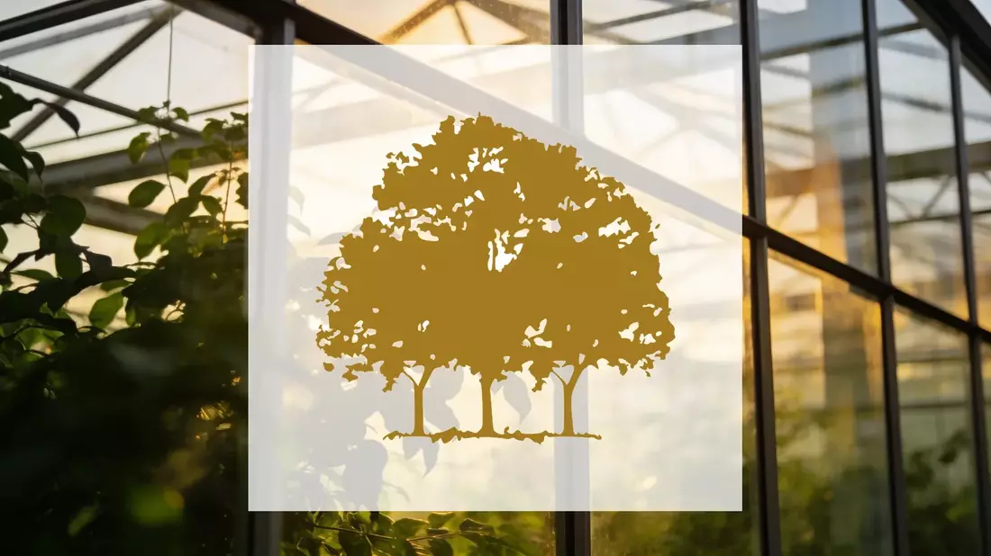 Canopy Growth: Quartalszahlen übertreffen Erwartungen, Aktie bleibt schwach