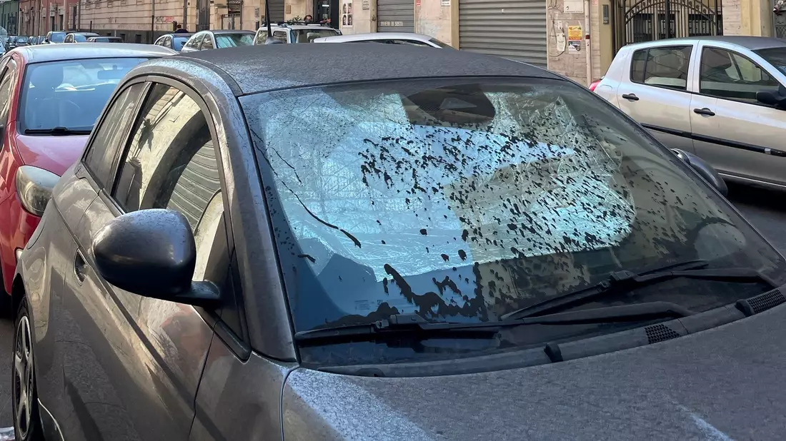 Auch die Scheiben von Autos sind mit Asche bedeckt. - Bild: Lena Klimkeit/dpa