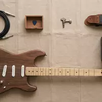 Flatlay-Arrangement rund um Elektrogitarre zum Thema Gibson . Ersatz, ISIN US30034W1060, weiches Oberlicht - Foto: THN
