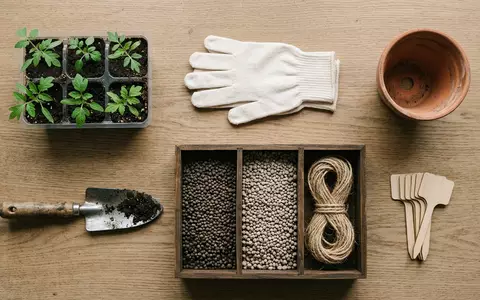 Flatlay-Arrangement rund um Gartendünger zum Thema K+S Dünger, ISIN DE000KSAG888, weiches Oberlicht - Foto: THN