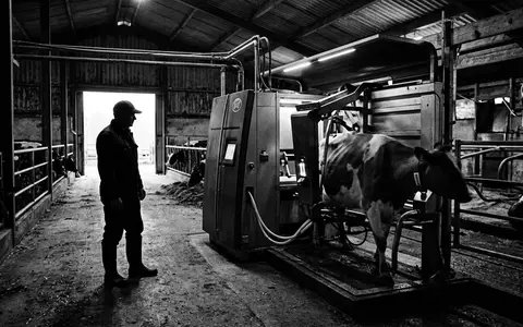 Schwarzweiss-Reportage mit Melkroboter zum Thema GEA Melkroboter, ISIN DE0006602006, hoher Kontrast, sachlich dargestellt - Foto: THN