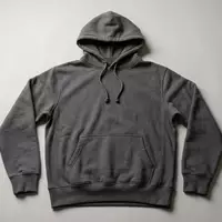 Fotorealistische Studioaufnahme von Kapuzenpullover zum Thema Tommy Hilfiger Hoodie, ISIN US6936561009, klare Lichtfuehrung - Foto: THN