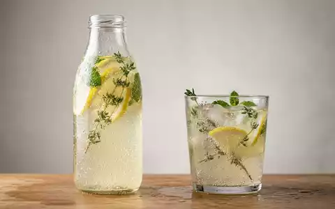 Fotorealistische Studioaufnahme von Kräuterlimonade zum Thema Vio Bio Limo, ISIN US1912161007, klare Lichtfuehrung - Foto: THN