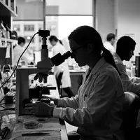 Schwarzweiss-Reportage mit Mikroskop zum Thema Thermo Fisher Mikroskop, ISIN US8835561023, hoher Kontrast - Foto: THN