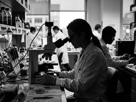 Schwarzweiss-Reportage mit Mikroskop zum Thema Thermo Fisher Mikroskop, ISIN US8835561023, hoher Kontrast - Foto: THN