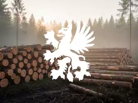 Abstrakte Darstellung einer modernen Forstwirtschaft bei Morgendämmerung mit Fokus auf Holzstapel und natürlicher Textur. - Foto: über boerse-global.de
