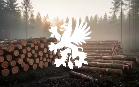 Abstrakte Darstellung einer modernen Forstwirtschaft bei Morgendämmerung mit Fokus auf Holzstapel und natürlicher Textur. - Foto: über boerse-global.de