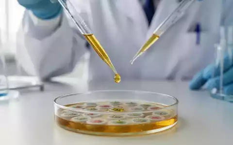 Wissenschaftler bei der Laborarbeit mit einer pflanzlichen Wirkstofflösung in einer Petrischale für die Krebsforschung. - Foto: über boerse-global.de