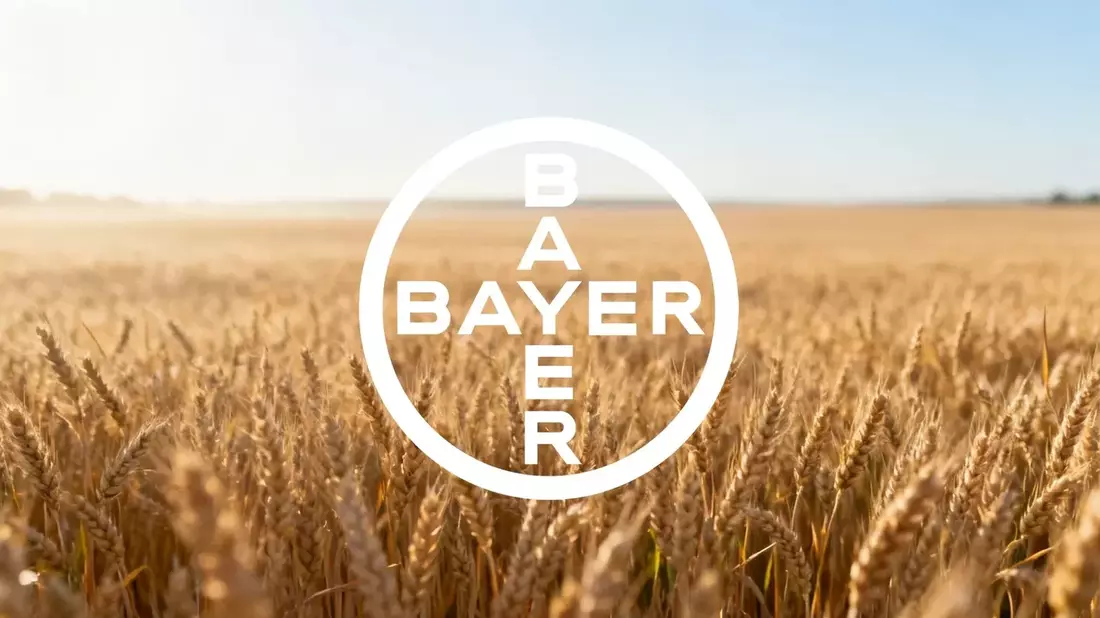 Bayer Stock Upgrades: Debt Outlook Improves, Targets Raised to €63