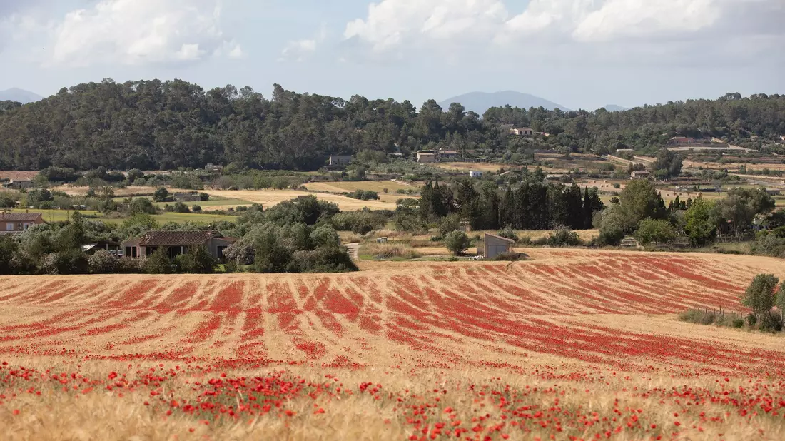 Die totale Sonnenfinsternis ist in Spanien vor allem von dünn besiedelten Regionen aus gut zu beobachten. In diese wunderschönen Landschaften verirren sich sonst nicht so viele ausländische Urlauber. - Bild: Clara Margais/dpa