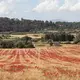 Die totale Sonnenfinsternis ist in Spanien vor allem von dünn besiedelten Regionen aus gut zu beobachten. In diese wunderschönen Landschaften verirren sich sonst nicht so viele ausländische Urlauber. - Bild: Clara Margais/dpa