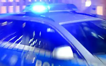 In einem Waldstück bei Flesnburg wurde ein menschlicher Torso gefunden. (Symbolbild) - Foto: Carsten Rehder/dpa