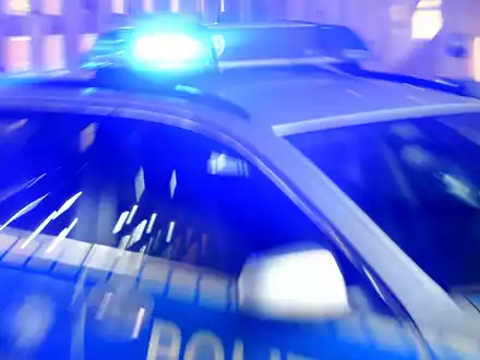 In einem Waldstück bei Flesnburg wurde ein menschlicher Torso gefunden. (Symbolbild) - Foto: Carsten Rehder/dpa