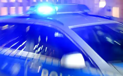 In einem Waldstück bei Flesnburg wurde ein menschlicher Torso gefunden. (Symbolbild) - Foto: Carsten Rehder/dpa