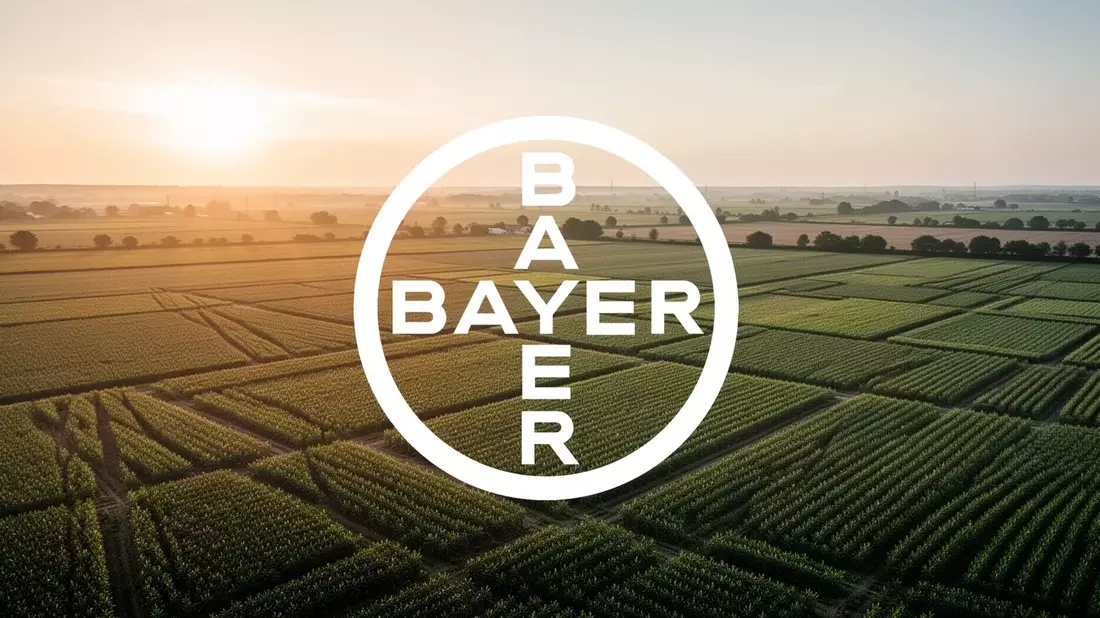Bayer Stock Split: Jefferies Holds at €46 vs Goldman's €63.50 Target