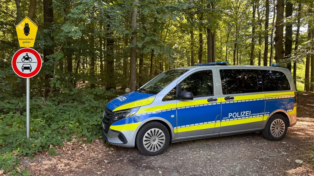 Nach dem Fund eines menschlichen Torsos sucht die Polizei rund um den Fundort in einem Waldstück nach Spuren. - Bild: Birgitta von Gyldenfeldt/dpa