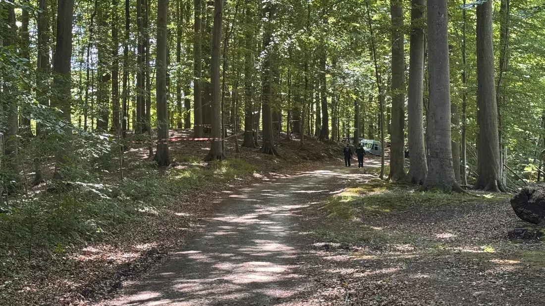 Der Torso wurde in einem Waldstück gefunden. - Bild: Birgitta von Gyldenfeldt/dpa