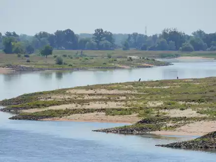 Niedrigwasser erschwert die Schifffahrt auf mehreren Flüssen. - Foto: Soeren Stache/dpa