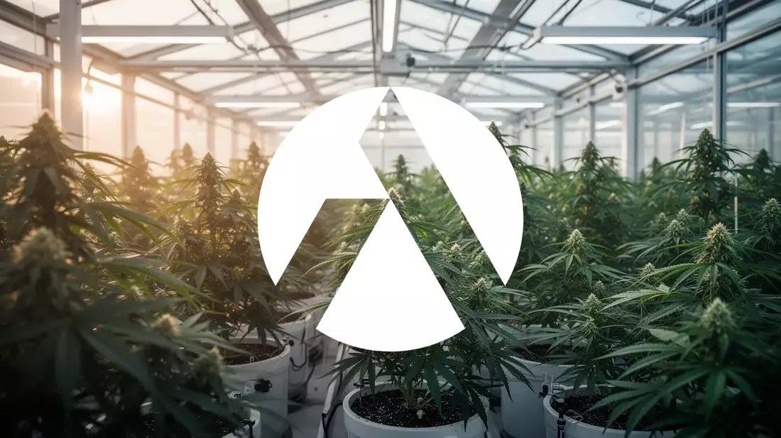 Tilray Aktie: Branchen-Spekulationen und Rekordzahlen treiben Cannabis-Wert