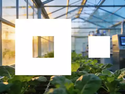 Moderne Forschungs-Gewächshäuser in einer landwirtschaftlichen Anlage bei Sonnenaufgang. - Foto: über boerse-global.de
