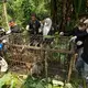 Die seltenen Tiger einzufangen, ist den Behörden zufolge immer das letzte Mittel. - Bild: Andri Mardiansyah/XinHua/dpa