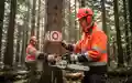 Forstmitarbeiter in Sicherheitskleidung mit Kettensäge bei der Arbeit in einem sonnendurchfluteten Wald. - Foto: über boerse-global.de