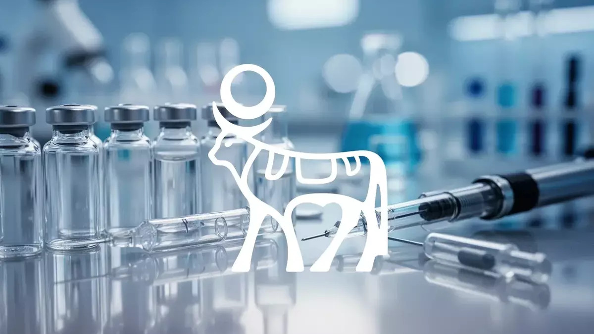 Novo Nordisk Faces Reality: Price Cuts, Pipeline Setbacks, and Market Skepticism