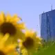 Die Währungshüter der Europäischen Zentralbank in Frankfurt setzen auf eine Vielfalt der Zahlungsmöglichkeiten. (Archivbild) - Bild: Jennifer Brückner/dpa