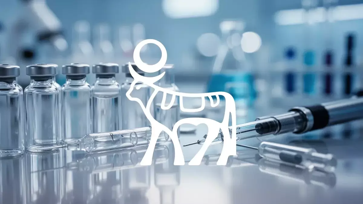 Novo Nordisk Stock Slumps 27% as Obesity Drug Competition Intensifies