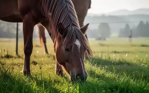 Ein gesundes Pferd auf einer grünen Weide in einer bayrischen Landschaft bei natürlichem Tageslicht. - Foto: über boerse-global.de
