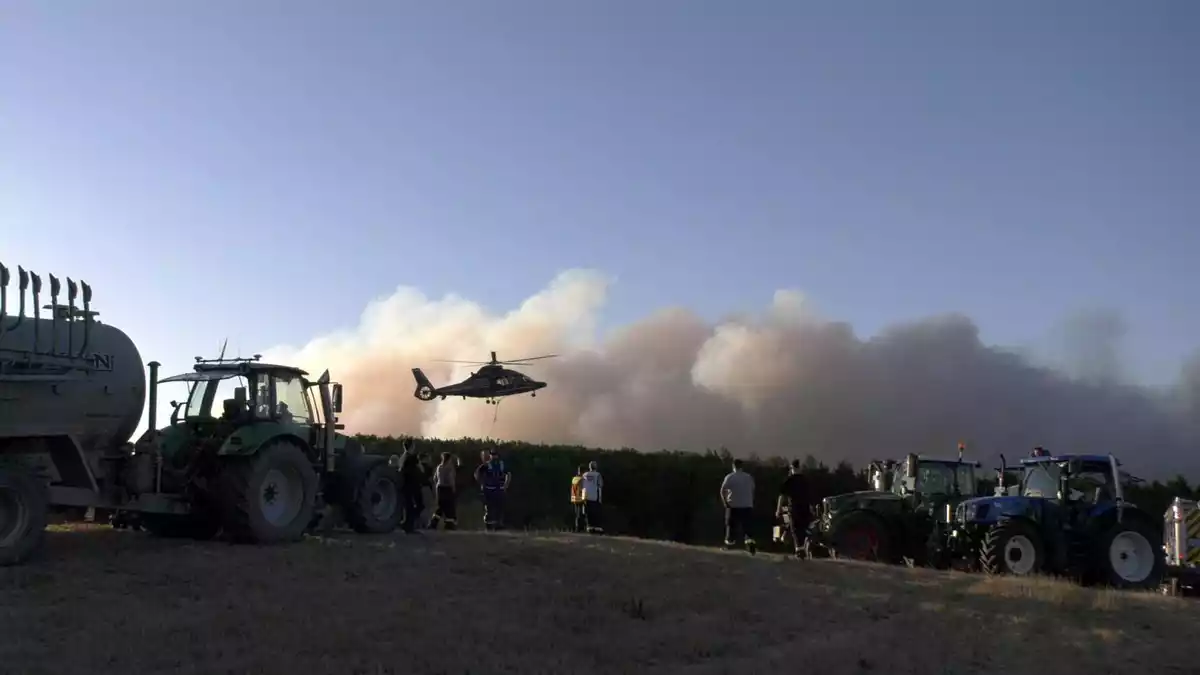 Der Brand hat bereits rund 25 Hektar Wald in Beschlag genommen.  - Bild: Nord-West-Media TV/dpa