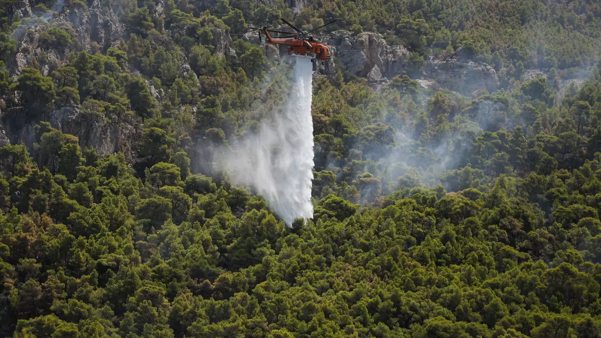 Das Feuer brach am Donnerstagnachmittag nahe dem Ferienort Siviri auf der Halbinsel Kassandra aus. - Bild: Socrates Baltagiannis/dpa