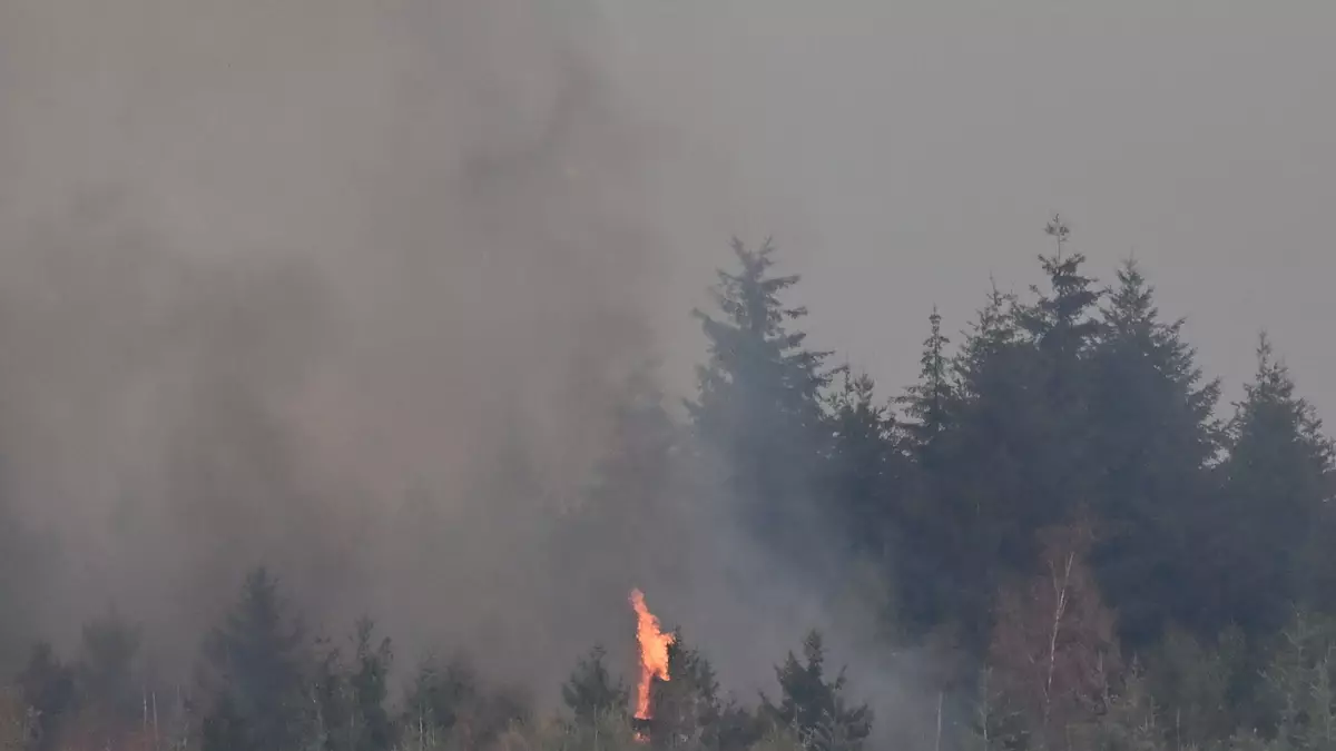 Bei dem großen Waldbrand nahe Hürtgenwald im nordrhein-westfälischen Kreis Düren hat sich die Lage in der Nacht zugespitzt. - Bild: Federico Gambarini/dpa