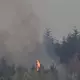 Bei dem großen Waldbrand nahe Hürtgenwald im nordrhein-westfälischen Kreis Düren hat sich die Lage in der Nacht zugespitzt. - Bild: Federico Gambarini/dpa