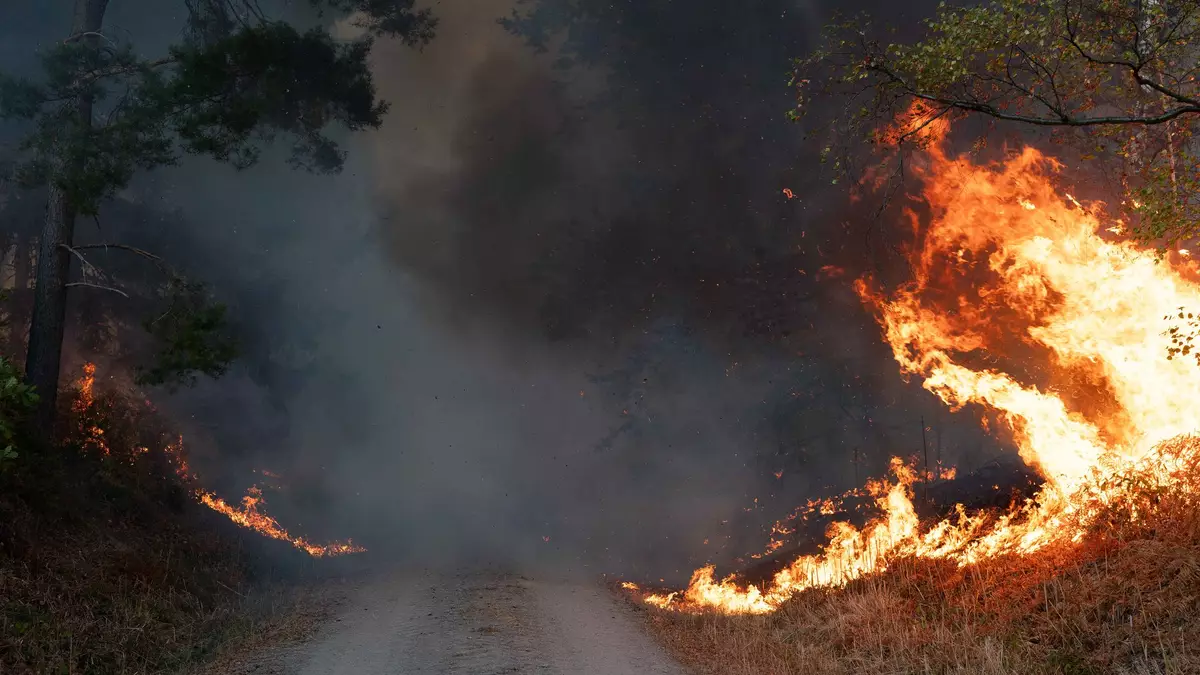 Die Ursache des Waldbrandes ist bislang nicht bekannt. - Bild: Jan Ohmen/dpa