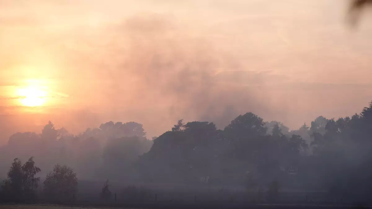 Die Einsatzkräfte bekämpften die Flammen in verschiedenen Gebieten gleichzeitig. - Bild: Jacob King/PA Wire/dpa