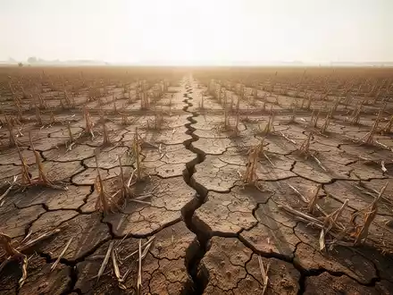 Ein ausgetrocknetes, rissiges Ackerfeld mit verdorrten Pflanzenresten unter einer heißen Sonne. - Foto: über boerse-global.de