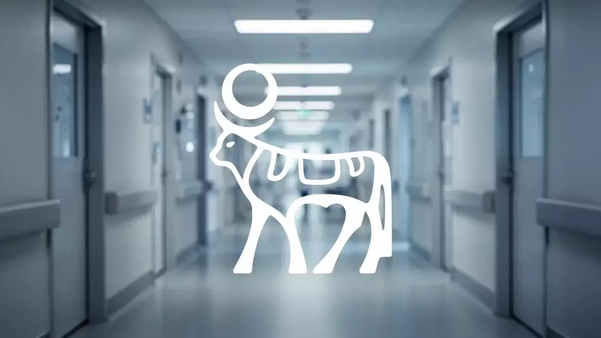 Novo Nordisk Stock Drops 28% from High Amid Downgrade, Job Cuts, and Data Breach