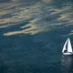 Blaualgenteppiche erstrecken sich über Teile der Ostsee. - Bild: Philip Dulian/dpa