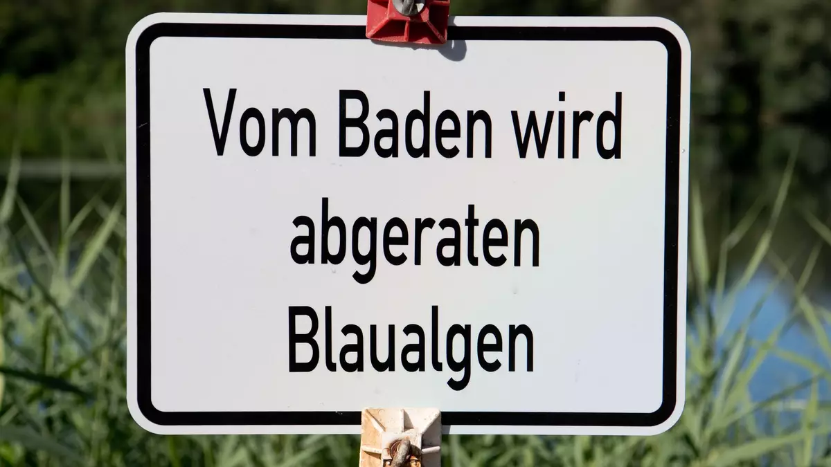 An einigen Seen im Norden werden wegen Blaualgen Badeverbote ausgesprochen. (Symbolbild) - Bild: Julian Stratenschulte/dpa
