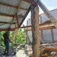 Ein schweres Erdbeben hat die indonesische Insel Flores erschüttert. - Bild: Kurniawan/AP/dpa