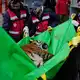 Die Tierschutzorganisation Vier Pfoten leitet die Rettungsaktion. - Bild: Natacha Pisarenko/AP/dpa