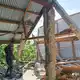Ein schweres Erdbeben hat die indonesische Insel Flores erschüttert. - Bild: Kurniawan/AP/dpa
