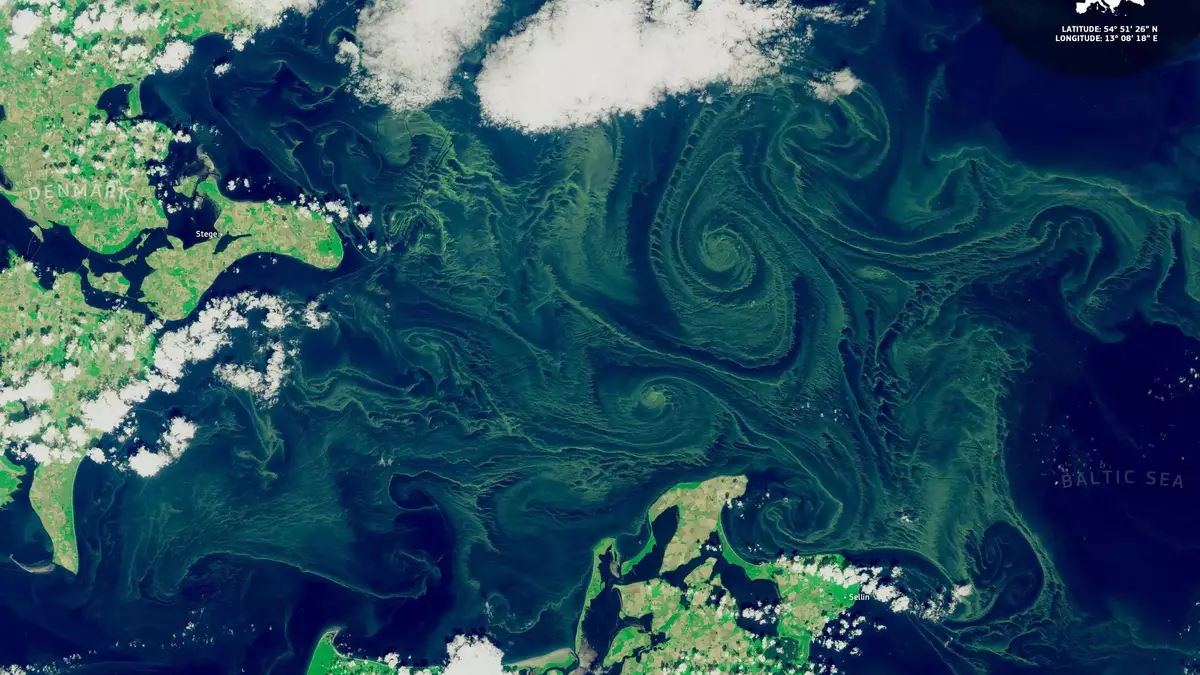 Im Gegensatz zu ihrem Namen handele es sich nicht um klassische Algen, sondern um sogenannte Cyanobakterien (Handout) - Bild: ---/Europäische Union, Copernicus Sentinel-2/dpa