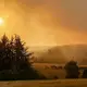 Panzer der Bundeswehr sind im Hürtgenwald bei der Brandbekämpfung im Einsatz.  - Bild: Thomas Banneyer/dpa