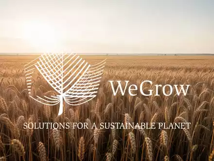 Weite goldene Felder in einer sonnendurchfluteten Landschaft, die eine großflächige landwirtschaftliche Investition symbolisiert. - Foto: über boerse-global.de