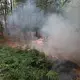 Flammen lodern am Boden beim Waldbrand im Hürtgenwald. - Bild: Sascha Thelen/dpa