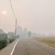 Das Großfeuer in Belgien hat sich bis auf drei Kilometer der deutschen Grenze genähert.  - Bild: Nicolas Lambert//dpa
