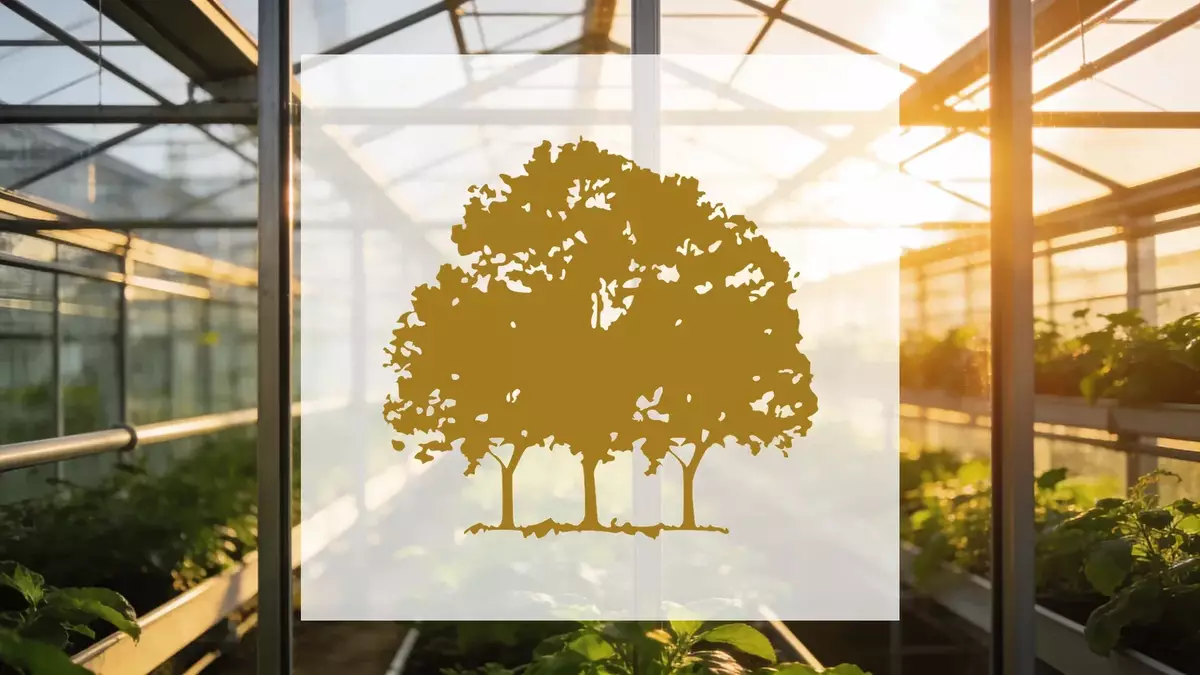 Canopy Growth: Alle Sparten wachsen, Verlust schrumpft deutlich