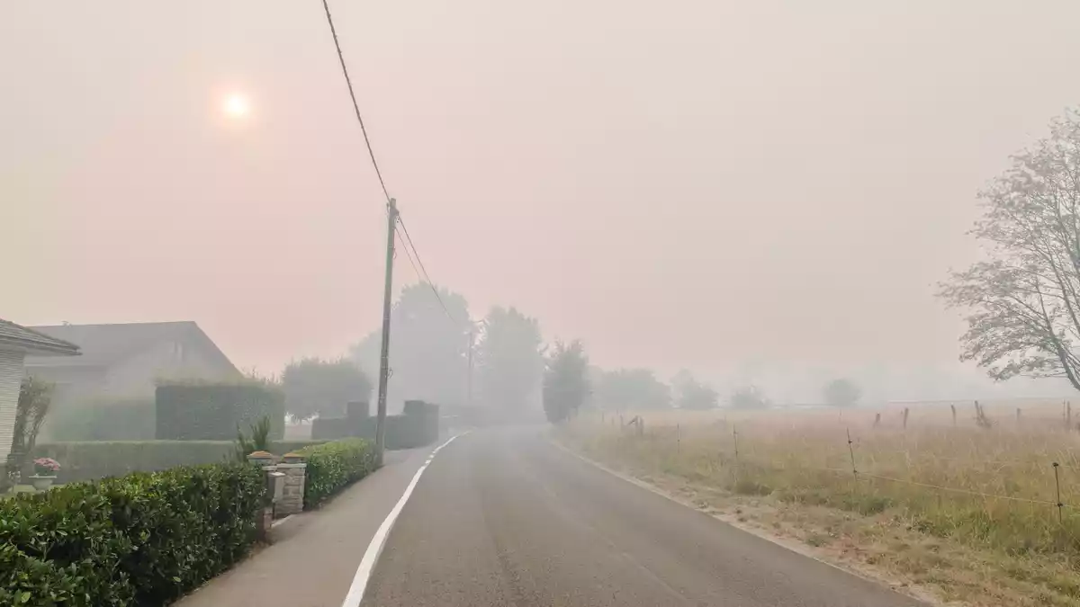 Das Großfeuer in Belgien hat sich bis auf drei Kilometer der deutschen Grenze genähert.  - Bild: Nicolas Lambert//dpa